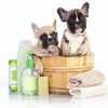 TheTruthAboutMasterResellerAndPrivateLabelRightsOffers Power Petgroomer Websites petgroomer websites