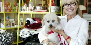 TipsToIncreaseWebsiteConversions Power Petgroomer Websites petgroomer websites